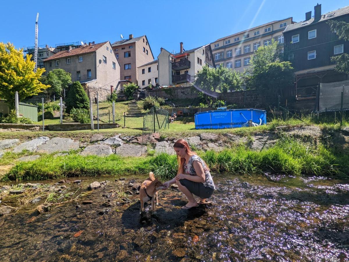 Urlaubstraum Mit Pool, Terrasse & Fluss Im Garten - Ut Apartment Зебниц Екстериор снимка