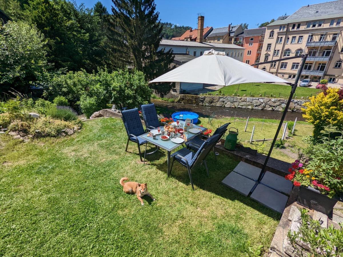 Urlaubstraum Mit Pool, Terrasse & Fluss Im Garten - Ut Apartment Зебниц Екстериор снимка