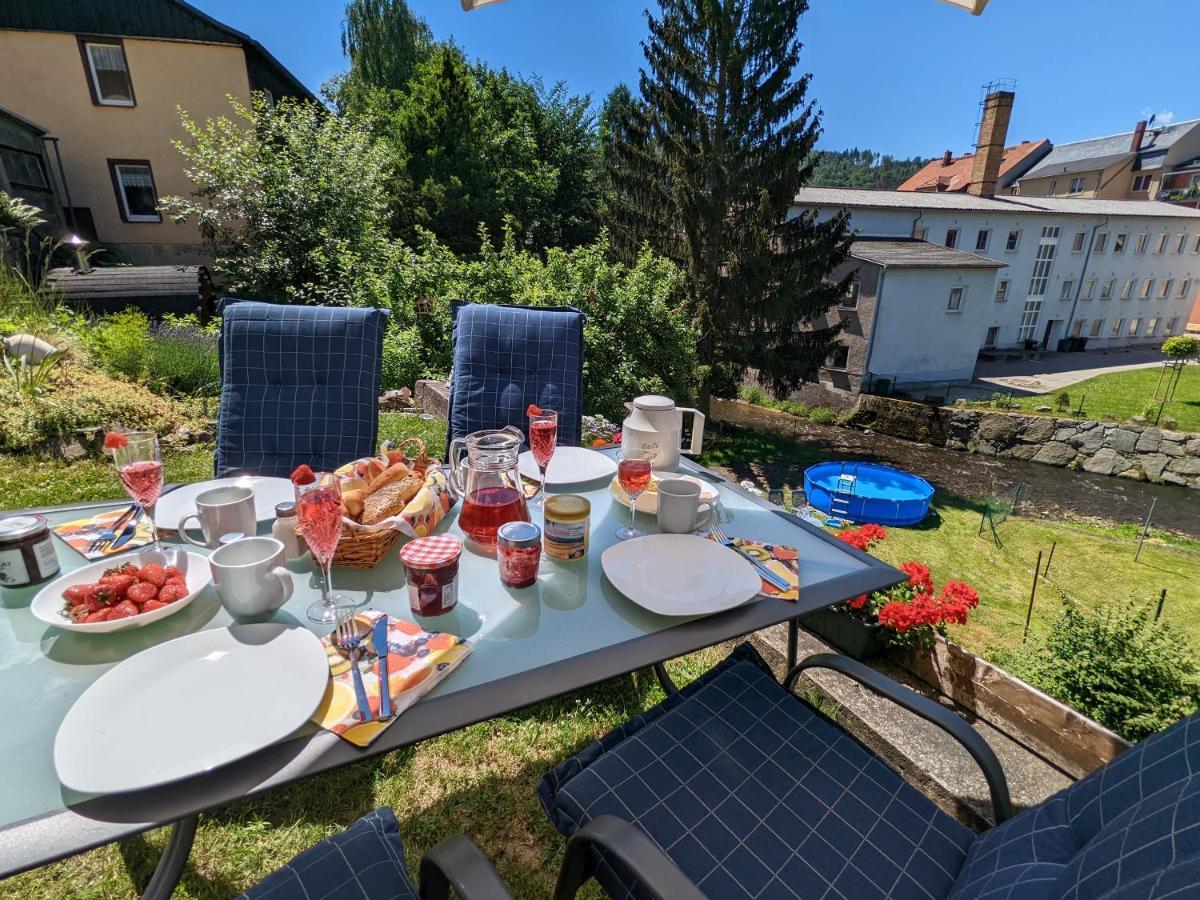 Urlaubstraum Mit Pool, Terrasse & Fluss Im Garten - Ut Apartment Зебниц Екстериор снимка