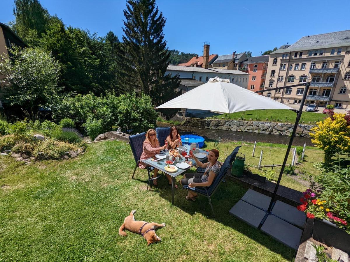 Urlaubstraum Mit Pool, Terrasse & Fluss Im Garten - Ut Apartment Зебниц Екстериор снимка